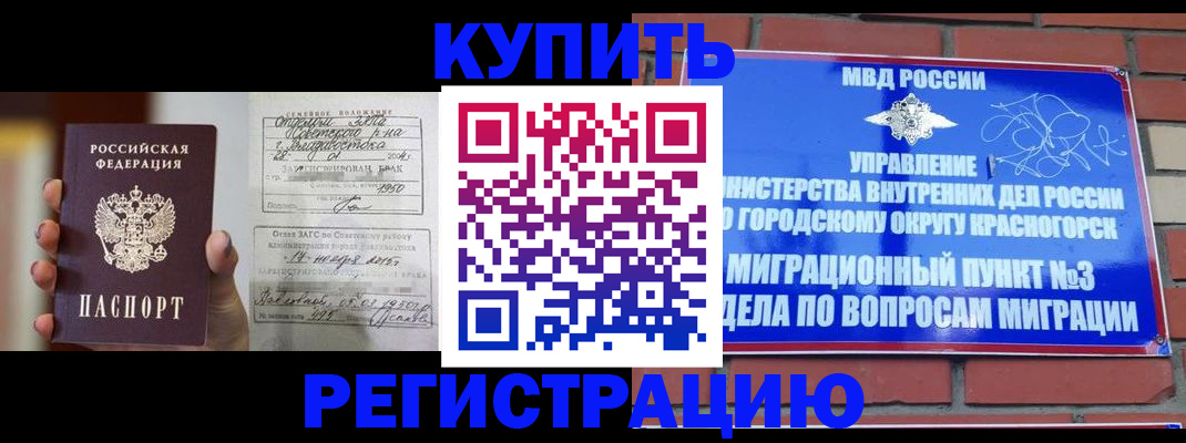 прописка в квартире в Мытищах