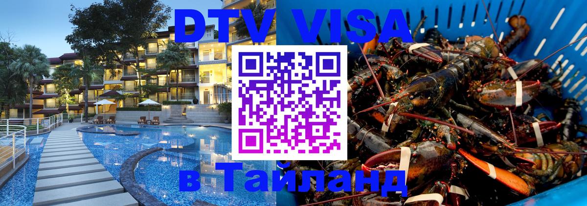 Оформление DTV визы под ключ: стоимость и тарифы, только загранпаспорт - 